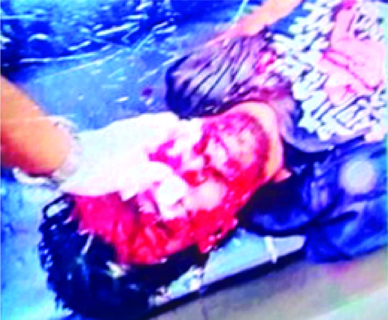 Image of মো: অহিদ মিয়া